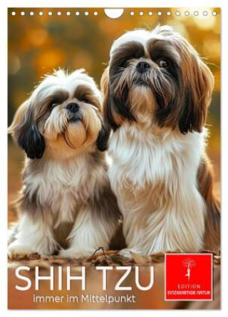 Naptár/Határidőnapló Shih Tzu - immer im Mittelpunkt (Wandkalender 2027 DIN A4 hoch), CALVENDO Monatskalender Calvendo