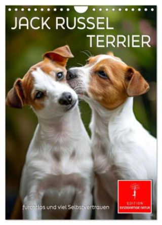Naptár/Határidőnapló Jack Russel Terrier - furchtlos und viel Selbstvertrauen (Wandkalender 2027 DIN A4 hoch), CALVENDO Monatskalender Calvendo