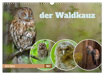 Kalender/Terminbuch der Waldkauz - Strix Aluco (Wandkalender 2027 DIN A3 quer), CALVENDO Monatskalender Calvendo