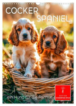 Naptár/Határidőnapló Cocker Spaniel - ein Hund für die Familie (Wandkalender 2027 DIN A3 hoch), CALVENDO Monatskalender Calvendo