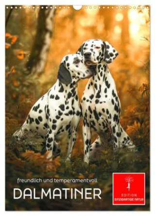 Naptár/Határidőnapló Dalmatiner - freundlich und temperamentvoll (Wandkalender 2027 DIN A3 hoch), CALVENDO Monatskalender Calvendo