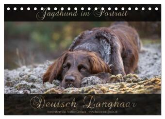Naptár/Határidőnapló Jagdhund im Portrait - Deutsch Langhaar (Tischkalender 2027 DIN A5 quer), CALVENDO Monatskalender Calvendo