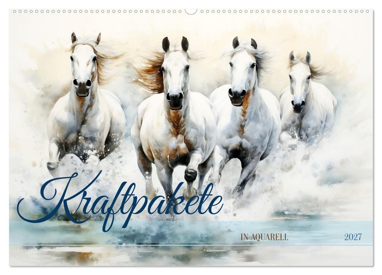 Kalender/agenda Kraftpakete in Aquarell (Wandkalender 2027 DIN A2 quer), CALVENDO Monatskalender Calvendo