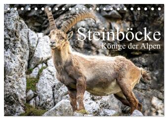 Kalender/Terminbuch Steinböcke - Majestätische Tiere der Alpen (Tischkalender 2027 DIN A5 quer), CALVENDO Monatskalender Calvendo