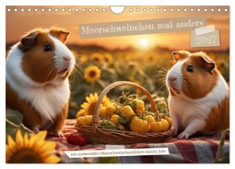 Naptár/Határidőnapló Meerschweinchen mal anders! (Wandkalender 2027 DIN A4 quer), CALVENDO Monatskalender Calvendo