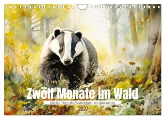 Kalendář/Diář Zwölf Monate im Wald (Wandkalender 2027 DIN A4 quer), CALVENDO Monatskalender Calvendo