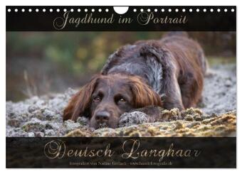 Kalendár/Diár Jagdhund im Portrait - Deutsch Langhaar (Wandkalender 2027 DIN A4 quer), CALVENDO Monatskalender Calvendo