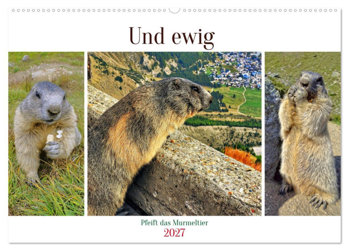 Calendario/Agenda Und ewig pfeift das Murmeltier (Wandkalender 2027 DIN A2 quer), CALVENDO Monatskalender Calvendo