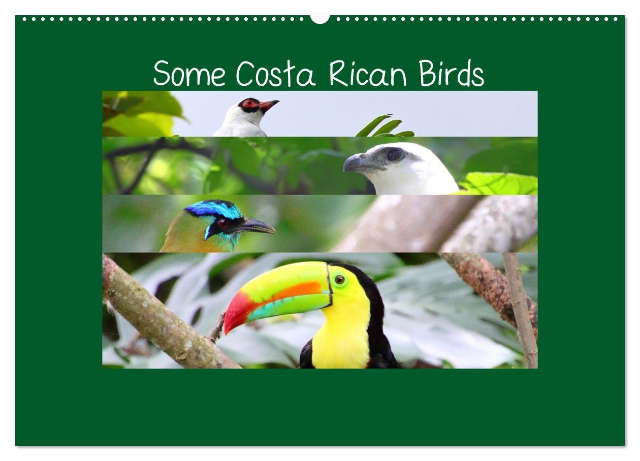 Kalender/Terminbuch Some Costa Rican Birds (Wall Calendar 2027 DIN A2 landscape), CALVENDO 12 Month Wall Calendar Calvendo