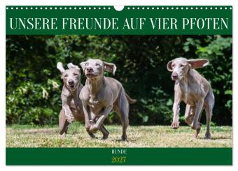 Kalender/Terminbuch Unsere Freunde auf vier Pfoten - Hunde (Wandkalender 2027 DIN A3 quer), CALVENDO Monatskalender Calvendo
