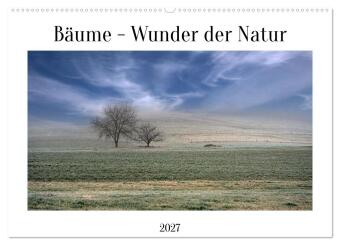 Kalender/agenda Bäume - Wunder der Natur (Wandkalender 2027 DIN A2 quer), CALVENDO Monatskalender Calvendo