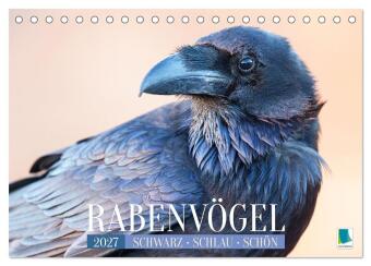 Kalendár/Diár Rabenvögel: Schwarz, schlau, schön (Tischkalender 2027 DIN A5 quer), CALVENDO Monatskalender Calvendo