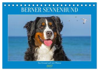Kalender/Terminbuch Berner Sennenhund - Ein Freund auf vier Pfoten (Tischkalender 2027 DIN A5 quer), CALVENDO Monatskalender Calvendo