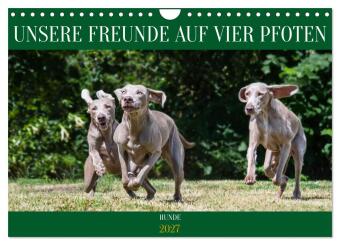 Kalender/Terminbuch Unsere Freunde auf vier Pfoten - Hunde (Wandkalender 2027 DIN A4 quer), CALVENDO Monatskalender Calvendo