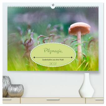Kalender/Terminbuch Pilzmagie (hochwertiger Premium Wandkalender 2027 DIN A2 quer), Kunstdruck in Hochglanz Calvendo