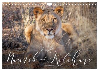 Naptár/Határidőnapló Zwischen Namib und Kalahari (Wandkalender 2027 DIN A4 quer), CALVENDO Monatskalender Calvendo