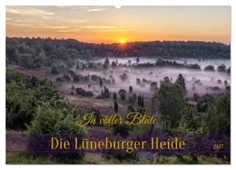 Kalender/agenda Die Lüneburger Heide - In voller Blüte (Wandkalender 2027 DIN A2 quer), CALVENDO Monatskalender Calvendo