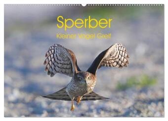 Kalendár/Diár Sperber - Kleiner Vogel Greif (Wandkalender 2027 DIN A2 quer), CALVENDO Monatskalender Calvendo