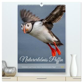 Naptár/Határidőnapló Naturerlebnis Puffin (hochwertiger Premium Wandkalender 2027 DIN A2 hoch), Kunstdruck in Hochglanz Calvendo