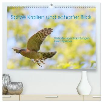 Kalender/agenda Spitze Krallen und scharfer Blick - Verhalten Sperber (hochwertiger Premium Wandkalender 2027 DIN A2 quer), Kunstdruck in Hochglanz Calvendo