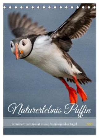 Naptár/Határidőnapló Naturerlebnis Puffin (Tischkalender 2027 DIN A5 hoch), CALVENDO Monatskalender Calvendo