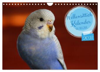 Kalender/Terminbuch Wellensittichkalender! - Das Original (Wandkalender 2027 DIN A4 quer), CALVENDO Monatskalender Calvendo