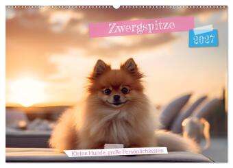 Naptár/Határidőnapló Zwergspitze - kleine Hunde, große Persönlichkeiten (Wandkalender 2027 DIN A2 quer), CALVENDO Monatskalender Calvendo