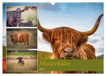 Calendario/Agenda Mutterkühe (Wandkalender 2027 DIN A3 quer), CALVENDO Monatskalender Calvendo