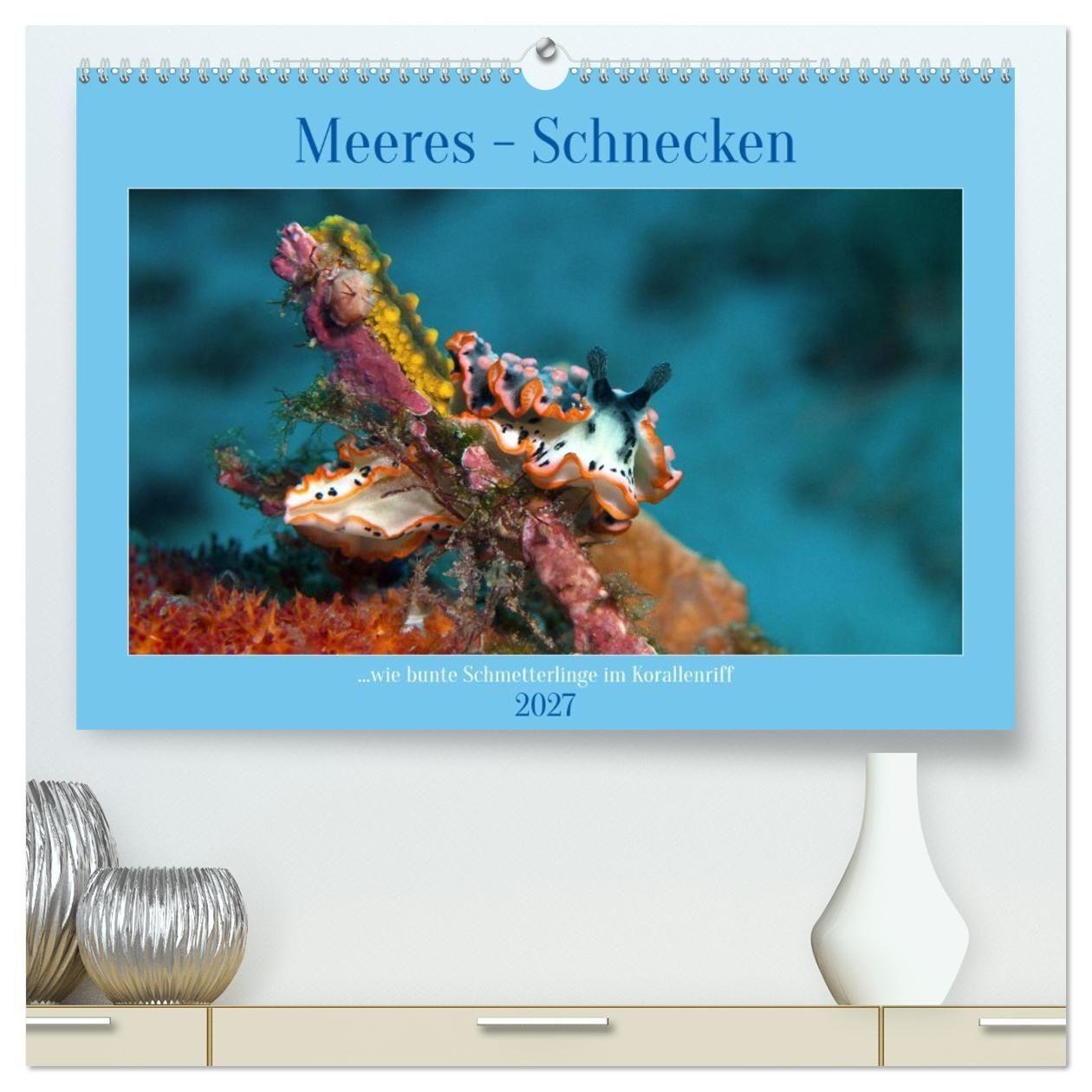 Kalender/Terminbuch Meeres-Schnecken (hochwertiger Premium Wandkalender 2027 DIN A2 quer), Kunstdruck in Hochglanz Calvendo