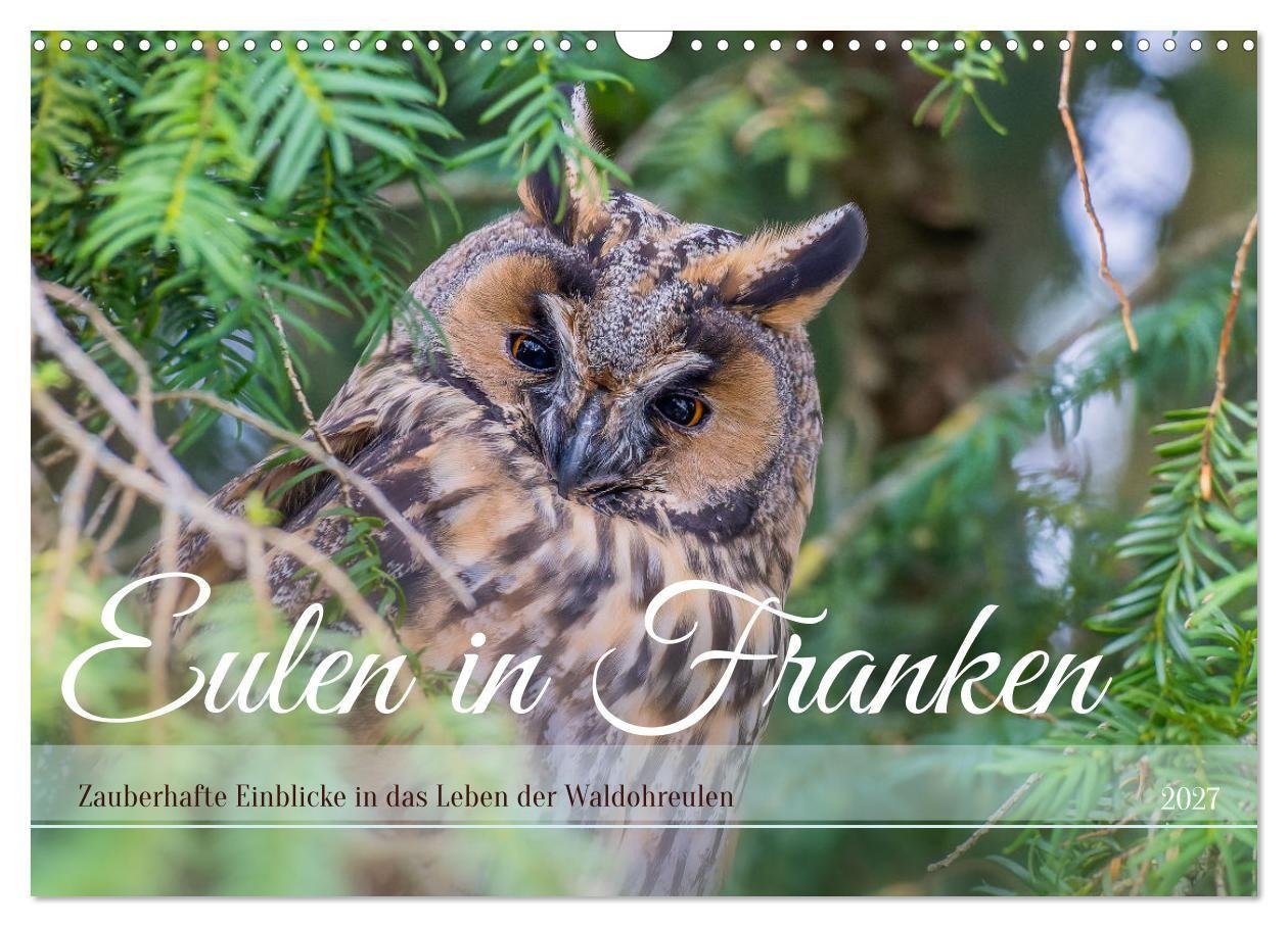 Calendario/Agenda Eulen in Franken (Wandkalender 2027 DIN A3 quer), CALVENDO Monatskalender Calvendo