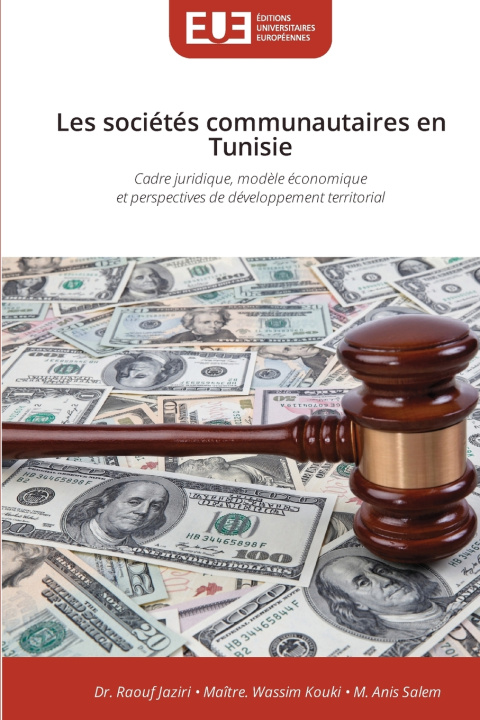 Könyv Les sociétés communautaires en Tunisie Dr. Raouf Jaziri