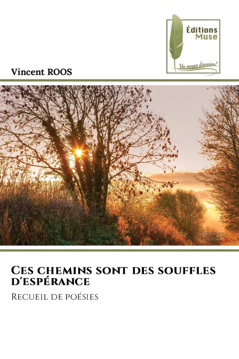 Könyv Ces chemins sont des souffles d'espérance Vincent ROOS
