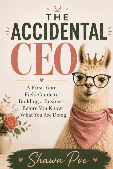 Book The Accidental CEO Shawn Poe