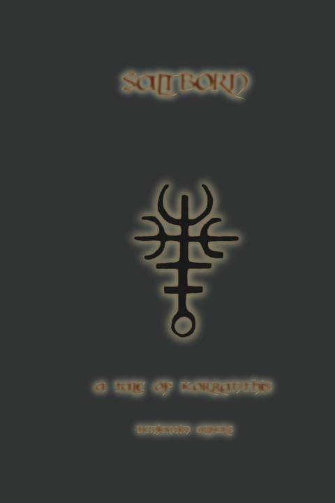 Buch Saltborn Benjamin Albers