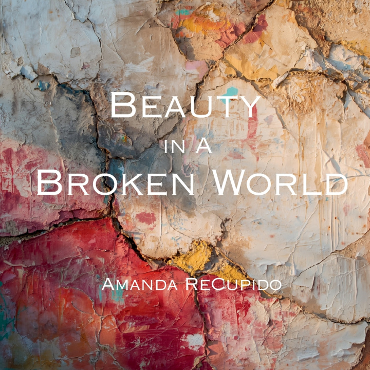 Buch Beauty in a Broken World Amanda ReCupido