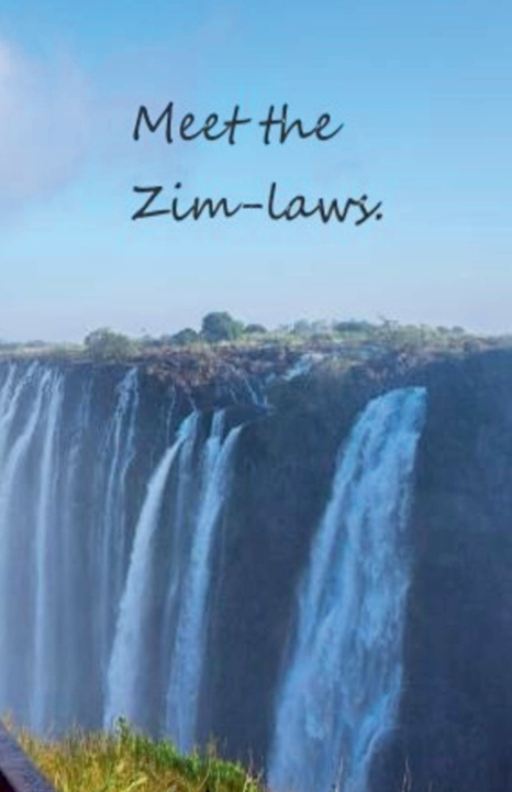 Buch Meet the Zim-laws Solitaire