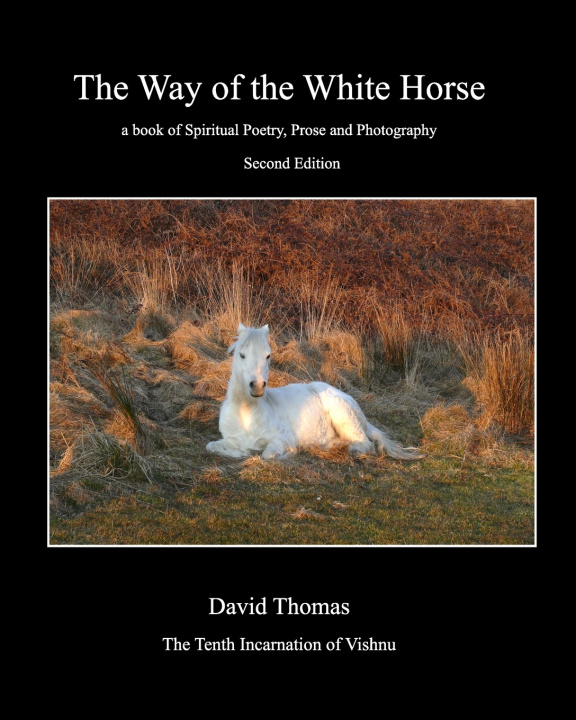Buch Way of the White Horse David Thomas