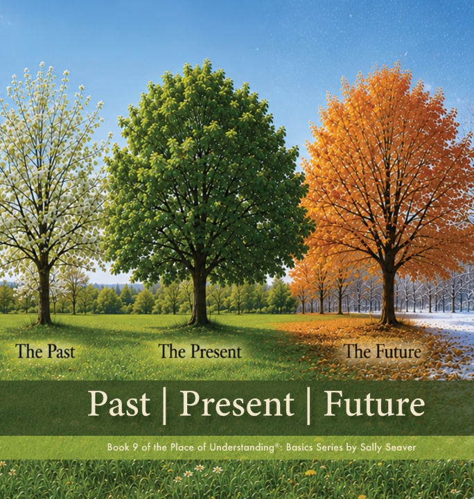 Kniha Past | Present | Absent Sally Seaver