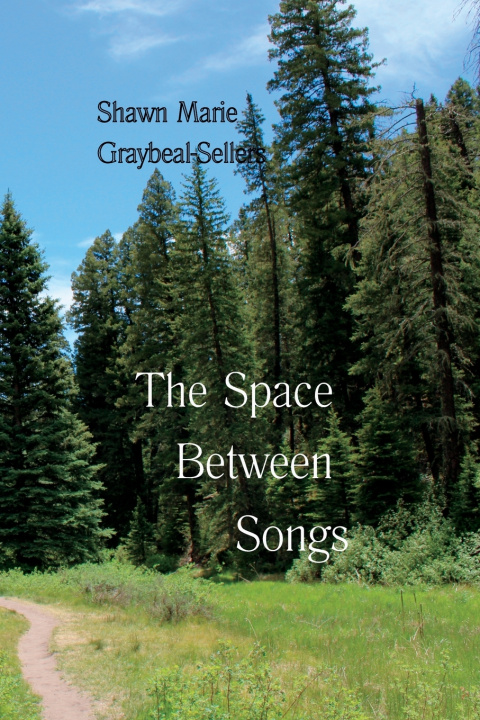 Könyv The Space Between Songs Shawn Marie Graybeal-Sellers