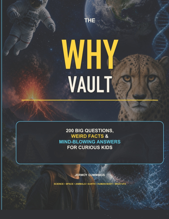 Carte The Why Vault Jermoy Cummings