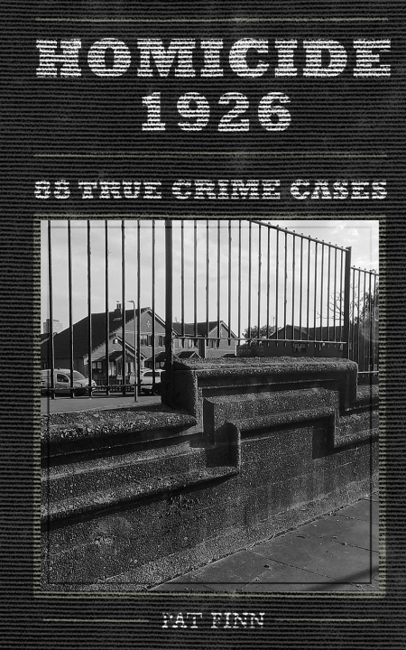 Könyv Homicide 1926 Pat Finn