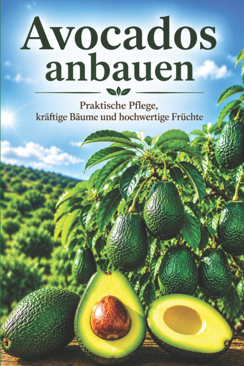 Book Avocados anbauen Svitana