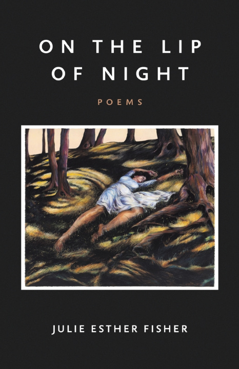 Buch On the Lip of Night Julie Esther Fisher