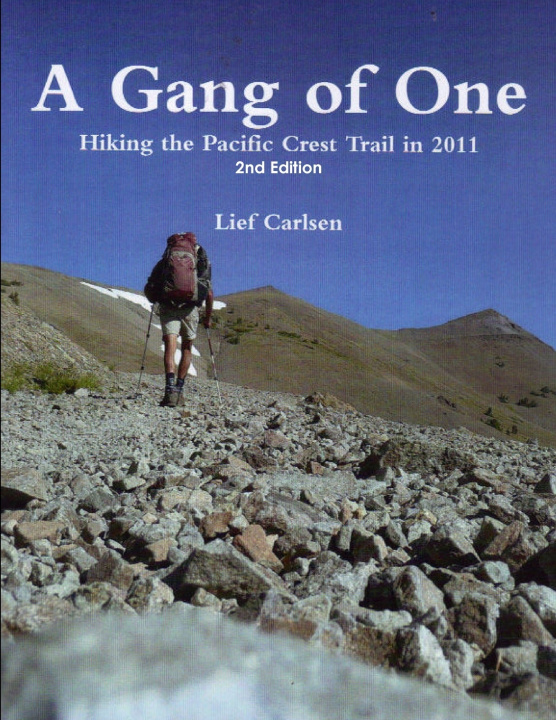 Buch A Gang of One Lief Carlsen
