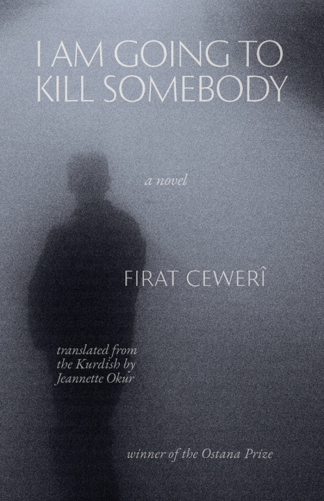 Buch I Am Going to Kill Somebody Firat Ceweri