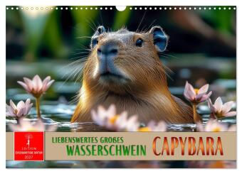 Kalendár/Diár Capybara - liebenswertes großes Wasserschwein (Wandkalender 2027 DIN A3 quer), CALVENDO Monatskalender Calvendo