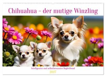 Kalender/Terminbuch Chihuahua - der mutige Winzling (Wandkalender 2027 DIN A2 quer), CALVENDO Monatskalender Calvendo