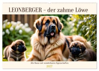 Kalender/Terminbuch Leonberger - der zahme Löwe (Wandkalender 2027 DIN A2 quer), CALVENDO Monatskalender Calvendo