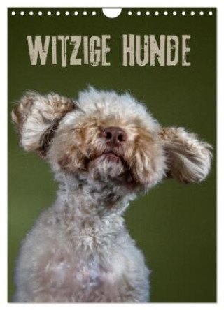 Naptár/Határidőnapló Witzige Hunde (Wandkalender 2027 DIN A4 hoch), CALVENDO Monatskalender Calvendo