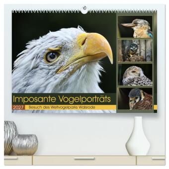 Naptár/Határidőnapló Imposante Vogelporträts (hochwertiger Premium Wandkalender 2027 DIN A2 quer), Kunstdruck in Hochglanz Calvendo